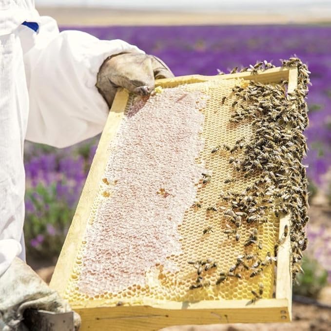 Savannah Bee Company Honey - Pure, Natural, Raw Honey