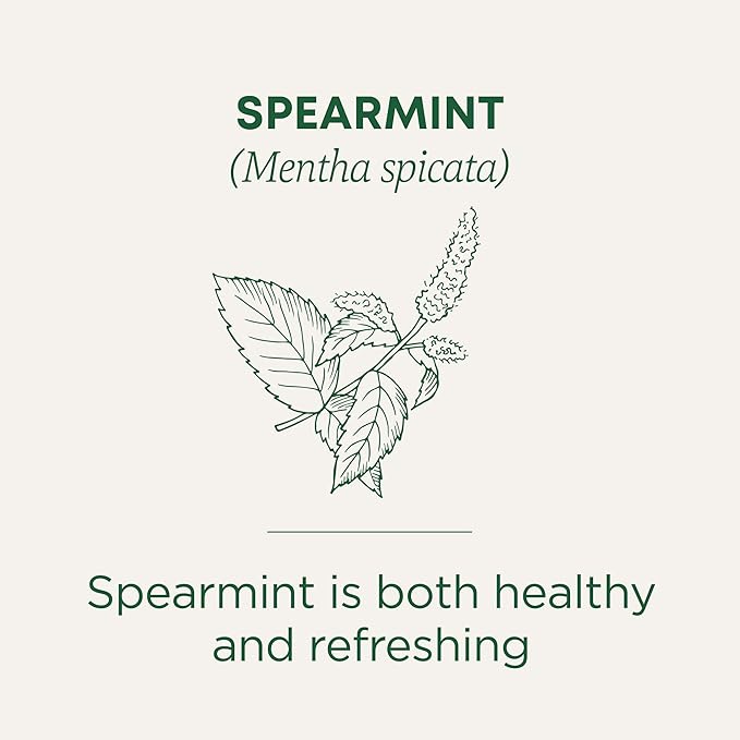 Traditional Medicinals Tea, Organic Spearmint, Supports Everyday Wellness, Healthy & Refreshing - 48 Tea Bags