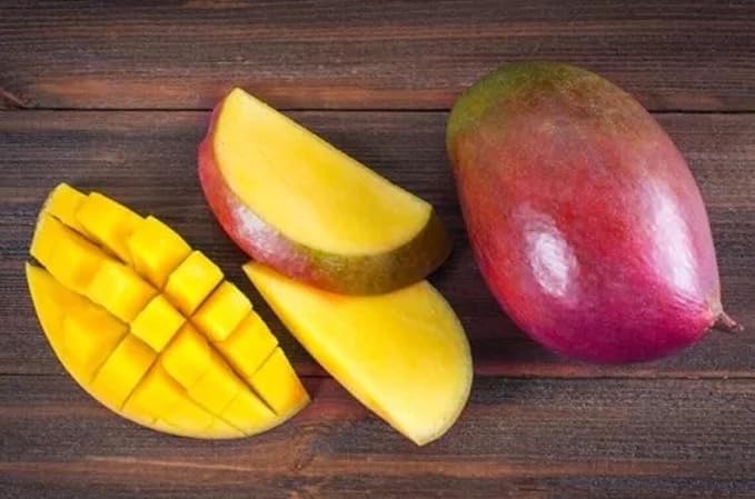 Mango O Tropical Tee 10-24 in
