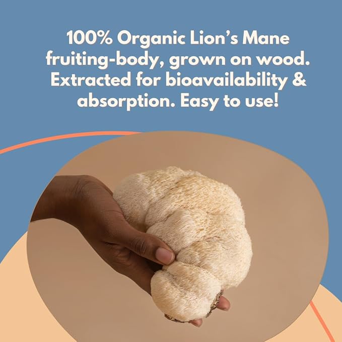 Malama Organic Mushroom Coffee, Adaptogenic Mushroom Coffee with Lion's Mane for Focus, Memory & Inmune Support – Blended with Organic Kona Roast | 12oz Bag