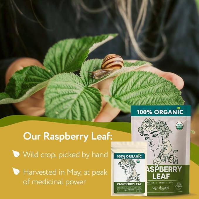 Super Value Pack 5 LB - Raspberry Leaf Tea - Womens Tea, Reproductive Health - Ease PMS Sympoms, Menstrual Cramps