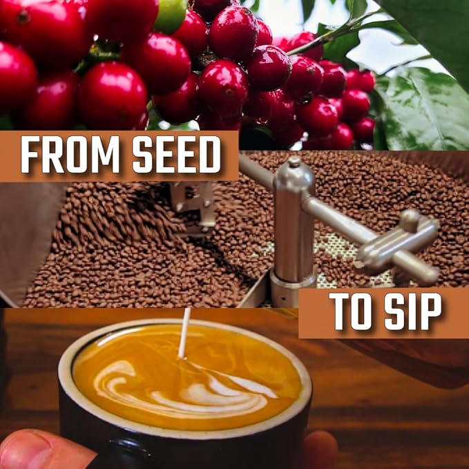 KONA EARTH 100% Kona Premium Coffee, Medium Dark Roast, Whole Bean (8oz) Farm-Direct Authentic Hawaiian Kona Coffee beans from Hawaii’s Big Island, Micro-Batch-Roasted