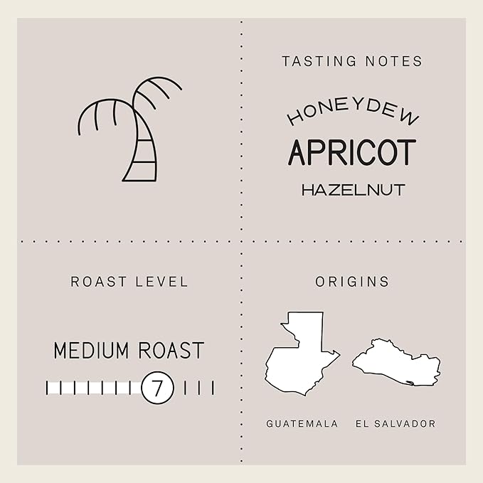 Verve Coffee Roasters Craft Instant Coffee Seabright House Blend | Medium Roast, Ground, Hand-Roasted | Enjoy Hot or Cold | Up to 6 Servings