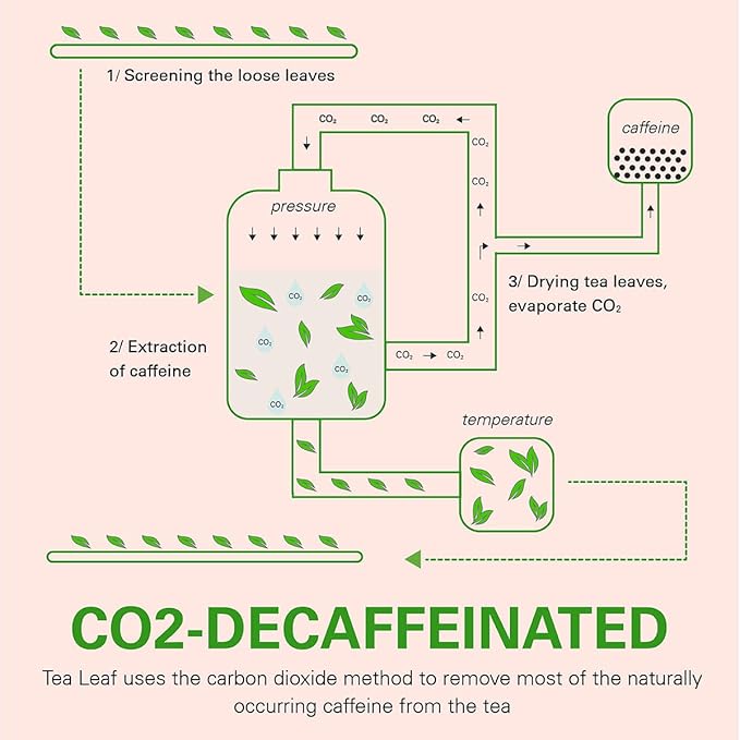 WT WEETEE Decaf Ginger Peach Green Tea Bags, Made of Decaffeinated Green Tea, Ginger & Natural Peach Flavor, Flavored Fruit Tea Bags 50 Counts Good for Iced