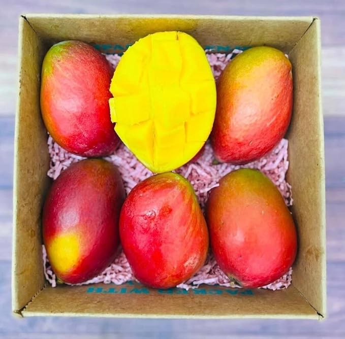 Mango Palmer Tropical Tee 10-24 in