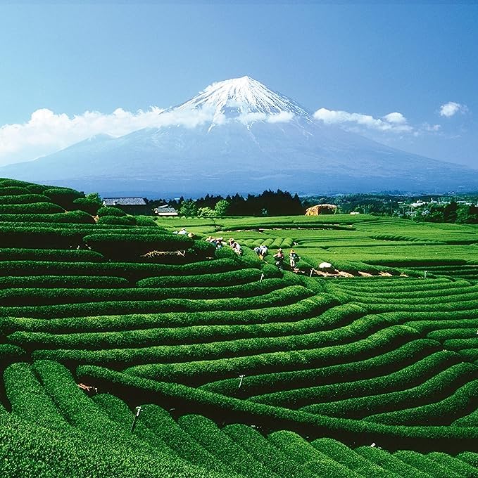 Palais des Thés Green Tea - Organic Grand Yunnan Imperial Blend - Premium Chinese Green Tea Bags, Serves 20 Cups