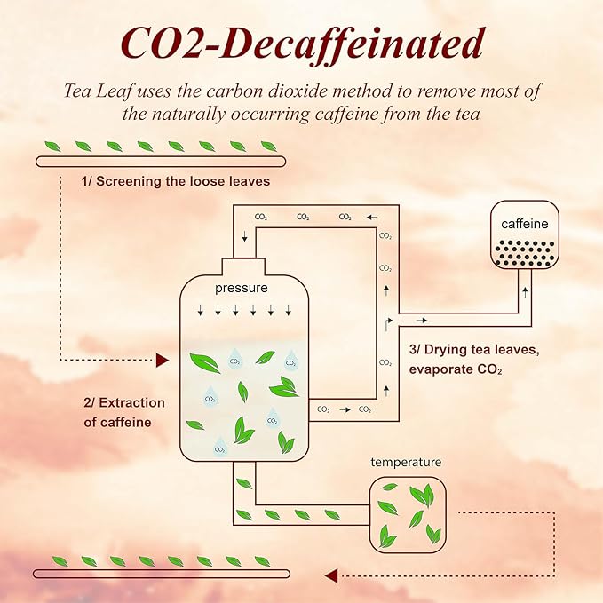 WT WEETEE Decaf Chai Tea Bags 50 Count, Blend CO2 Decaffeinated Black Tea with 6 Spices Chai, Rich & Cinnamon Aroma, Dairy & Flavoring Free