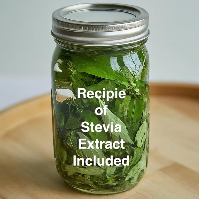 Live Stevia rebaudiana Plants, Sweet Leaf or Sugar Leaf, Natural Sugar Substitute Herb, Easy to Grow (2 stevia sacs)