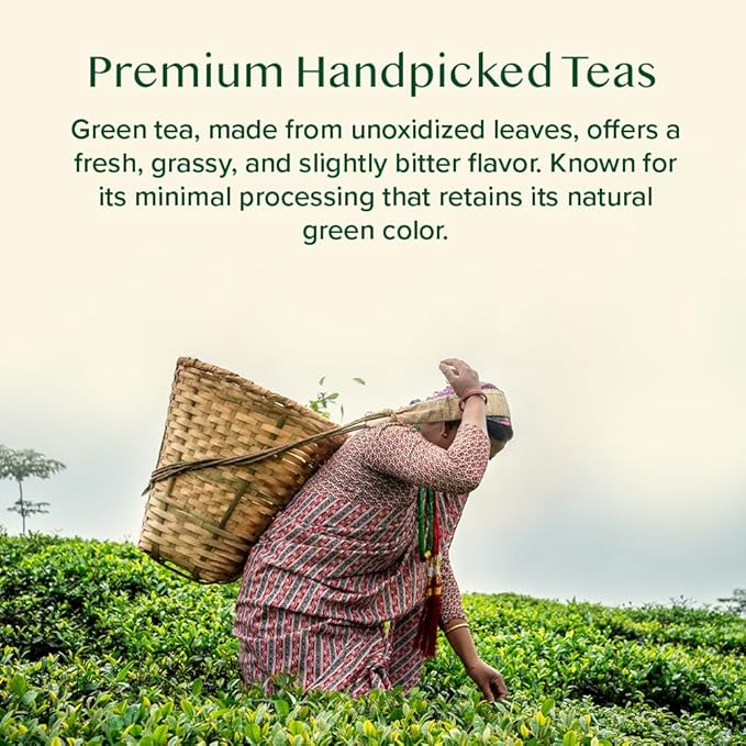 VAHDAM, Assorted Green Tea Loose Leaf Tea Gift Set (10 Flavors) Gift Ideas for Women & Men | Exotic Himalayan Green Tea Blends | Resealable Ziplock Pouch | Christmas Tea Gift Set