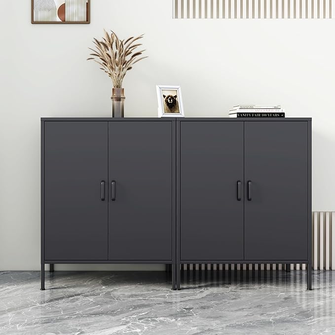 Black Metal Storage Cabinet,Metal Locker Storage Cabinet with 2 Doors and Shelves,Kitchen Pantry Cabinet,Modern Storage Freestanding Organizer Rust for Home,Kitchen,Office