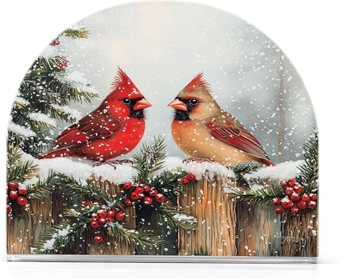 Winter Red Birds Napkin Holder for Table Paper Cocktail Napkin Holders for Kitchen Dinning Acrylic Dinner Napkin Dispenser for Dinner Home Decor Bar 2 Pack