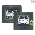 Kusmi Tea - Pack of 2 Boxes of Tea Bags - Earl Grey - Organic Earl Grey Black Tea - Flavored with Italian Bergamot Essential Oil - Strong, Robust, Caffeinated Tea - 2x20 Tea Bags