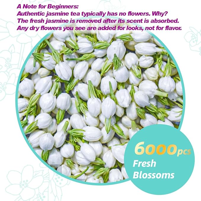 Essencesip Organic Jasmine Green Tea Loose Leaf, 4oz Tin – Scented 5x with 6,000 Fresh Jasmine Blossoms, Low Caffeine, Antioxidant-Rich