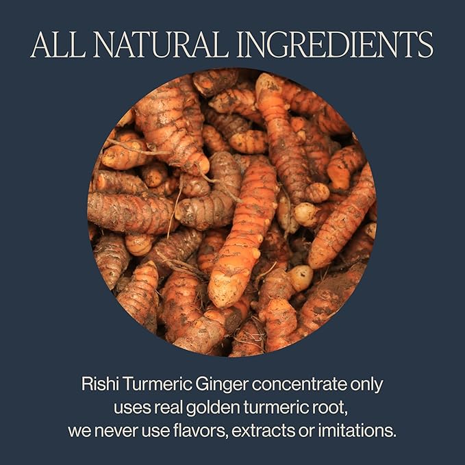 Rishi Tea Turmeric Ginger Chai Latte - Organic Herbal Tea Concentrate with Ginger - Easy-to-Serve Hot or Iced, Caffeine Free - 32 Fl Oz (Pack of 12)