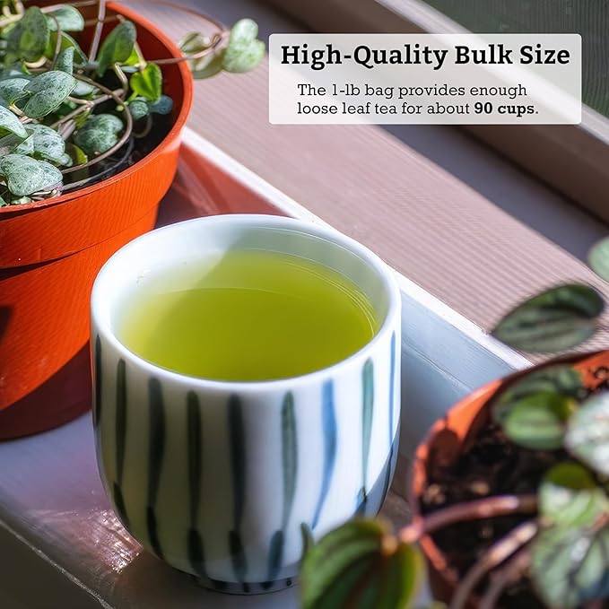 SUGIMOTO TEA Japanese Sencha Green Tea Leaf Bulk 1.0 lb (454 g) Pack of 1