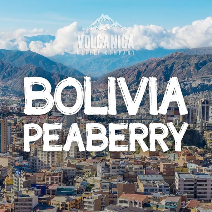 Bolivia Peaberry Coffee, Caranavari, Ground, Fresh Roasted, 16-ounce