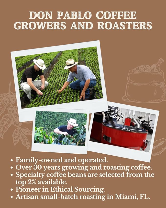 2LB Subtle Earth Organic Coffee - Light Roast - Whole Bean Coffee - 100% Arabica Beans - Low Acidity and Non-GMO - 2lb bag