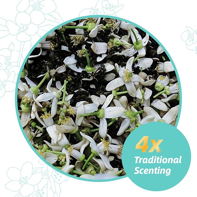 ESSENCESIP Pomelo Green Tea Loose Leaf 4oz - Traditional Scented Organic Green Tea Leaves with Fresh Blossoms, Refreshing Citrus Floral Aroma, Low Caffeine, Antioxidant-Rich, Reusable Tin