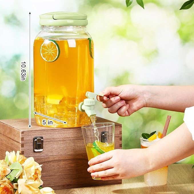 Havawish 2 Pcs 1 Gallon Plastic Beverage Dispenser with Spigot Clear Summer Kitchen Fridge Drink Dispenser for Parties Lemonade Juice Tea Beer Cold Water(Green,Cylinder)