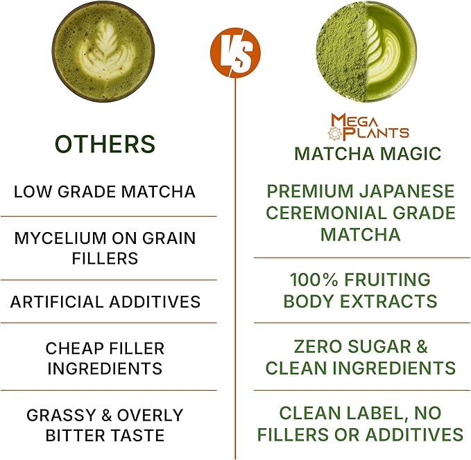 Mushrooms Matcha Magic - USDA Organic Ceremonial Grade Japanese Matcha (30 Serving)- with Reishi, Lion’s Mane, Chaga, Cordyceps & Turkey Tail – Superfood for Focus & Energy.