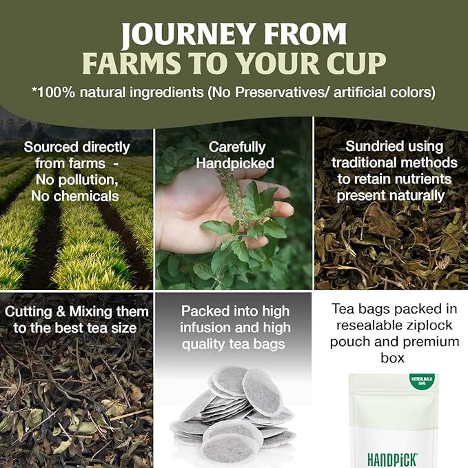 HANDPICK Original Tulsi Tea (100 count) Holy Basil Tea | Non-GMO, Caffeine-Free Herbal Tea | Ecofriendly Round Tea Bags