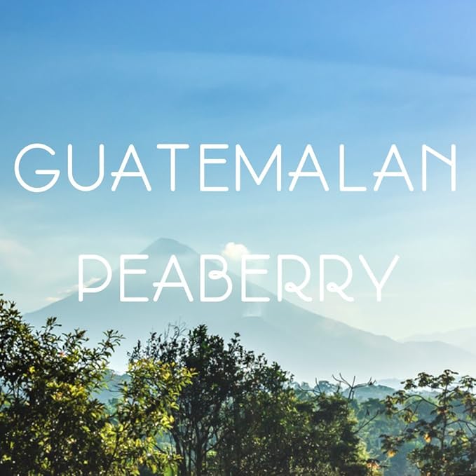 Guatemala Peaberry Coffee, Ground, Antigua, Medium Roast, Single Origin, 5 lbs