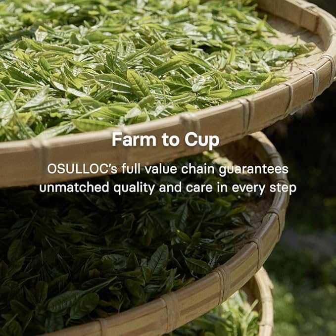 OSULLOC Volcanic Isle Matcha Powder, Ceremonial Grade Korean Matcha for lattes, Christmas gift idea, Green tea powder from Jeju island (1.41oz, 40g)