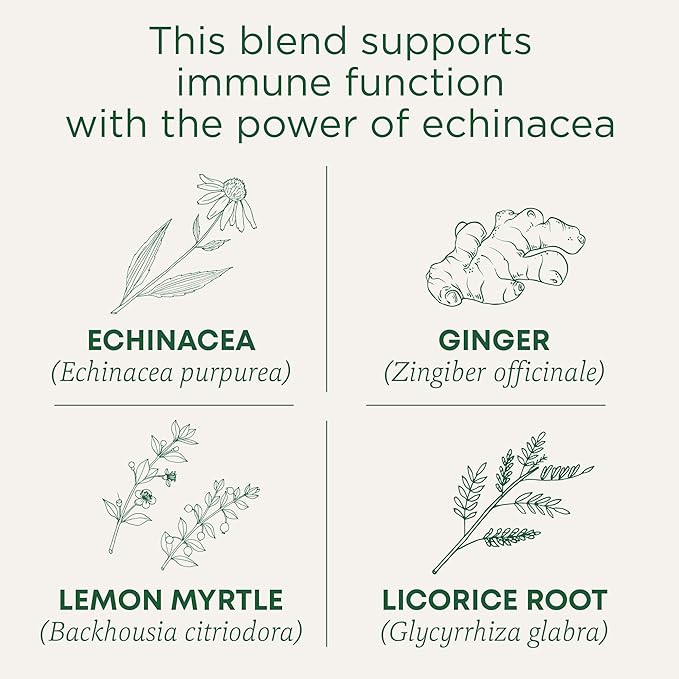 Traditional Medicinals Tea, Organic Immune Zoom Lemon Ginger, Supports Immune Function, 48 Tea Bags (3 Pack)