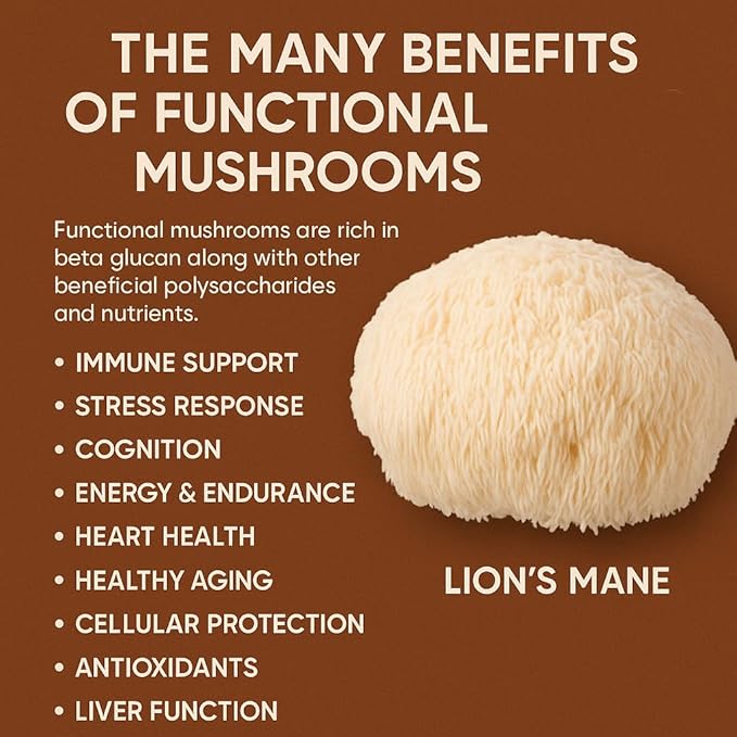 BRYT Mushroom Coffee – Mushroom Coffee Blend with 10 Mushrooms + Collagen – Organic Instant Coffee Mix for Balanced Energy, Focus & Wellness – Low Caffeine, Sugar-Free, Dairy-Free, 30 Servings