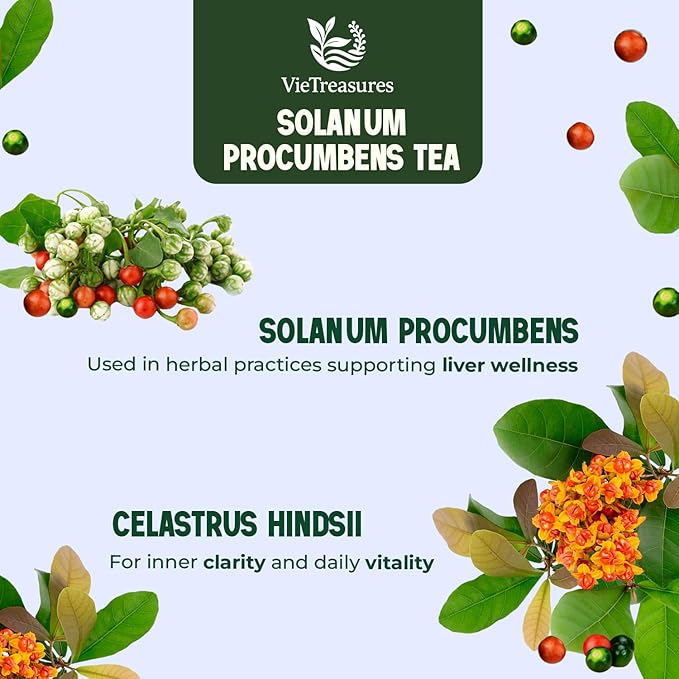 VieTreasures Solanum Procumbens Tea - 40 Tea Bags | With Celastrus and Stevia Blend | Herbal Cleanse Tea for Relax, Energy & Inner Health Support | Caffeine-free, Gluten-free, Sugar-free, 2.8oz