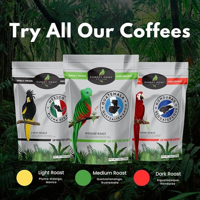 Canopy Point Coffee Guatemala medium air roasted coffee beans - whole bean & ground, specialty small batch roasted to order with maple & nut aroma, unique gourmet pour over (Whole Bean Bulk: 5lbs)