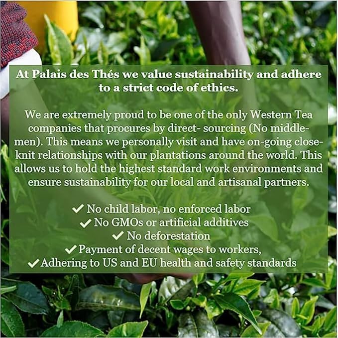 Palais des Thés Green Tea - Organic Icy Mint Blend with Peppermint - Premium Tea Bags - Serves 20 Cups