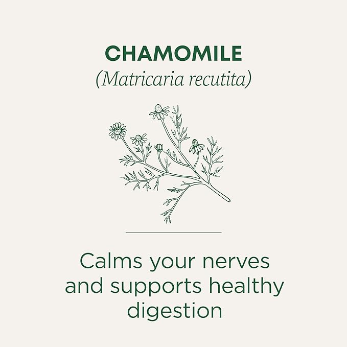 Traditional Medicinals Tea, Organic Chamomile, Calming, Calms Your Nerves, Supports Healthy Digestion, 96 Tea Bags (6 Pack)