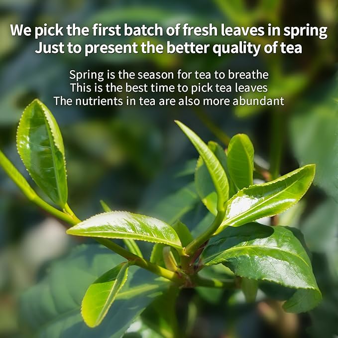 XIHETANK Black Tea Bags, 100 Count (Pack of 1),Yunnan Black Tea, 100% Pure Natural Old Tree Black Tea, Caffeinated tea,Sweet or Refreshing, Containing Caffeine,Different Sensations of Cold or Hot,