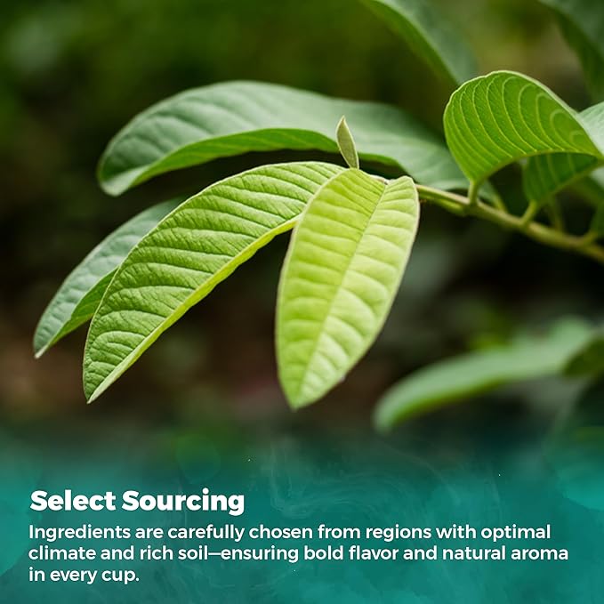 USA Fresh Guava Leaves Tea, Natural and Pure, All-Natural Herbal Tea from Handpicked Guava Leaves, No Additives or Preservatives, Grown and Packed in USA (100 Leaves)