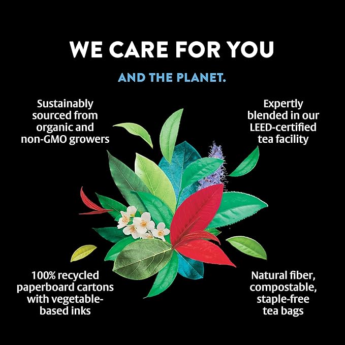Choice Organics - Organic Picnic Peach Tea (3 Pack) - Rainforest Alliance - Contains Caffeine - 48 Organic Black Tea Bags