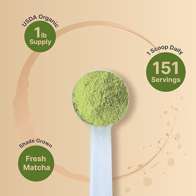 Organic Matcha Green Tea Powder, 1 Pound | Unsweetened with Zero Sugar, Culinary Grade, Potent Early Spring Leaf Harvest, Fine Stone Ground – Vegan, All Purpose, Great for Matcha Latte