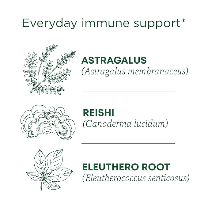 Traditional Medicinals Tea, Organic Stress Ease Immune with Adaptogens, Everyday Immune Support, Reishi Warming Spice, 96 Tea Bags