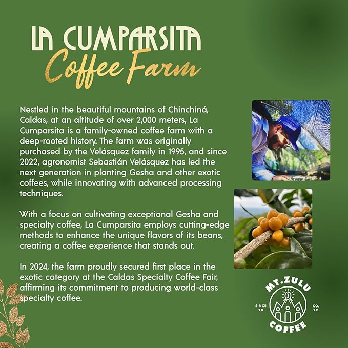 Mt. Zulu Yellow Gesha/Geisha Coffee – Pineapple Fermentation, Semi-Washed, Single Origin Colombian Specialty Beans, Medium Roast, Exotic Flavor Profile, Whole Bean, 8.8 oz Bag