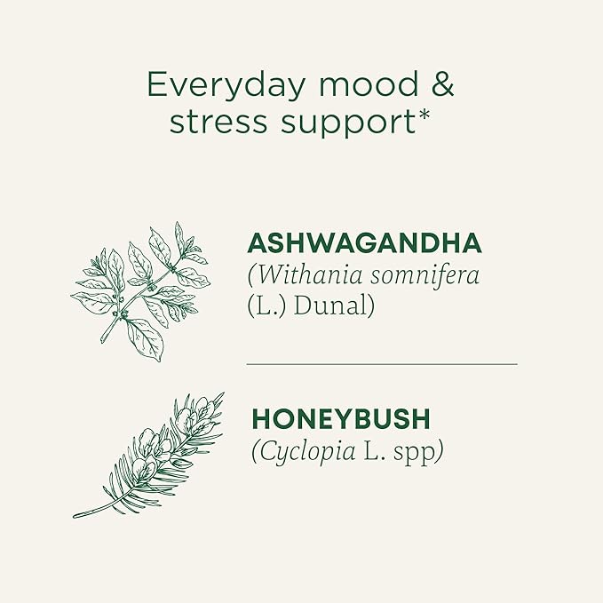 Traditional Medicinals Organic, Stress Ease Calm with Adaptogens, Ashwagandha & Honeybush - Promotes Relaxation - Kosher, Non-GMO, Caffeine-Free, Compostable - 96 Tea Bags (6 Packs of 16)