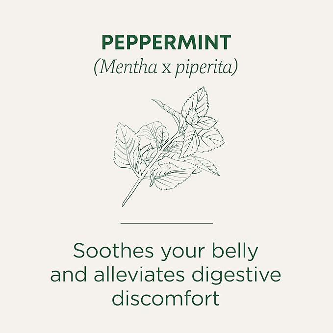 Traditional Medicinals Tea, Organic Peppermint, Soothes Your Belly, Refreshing & Minty, 48 Tea Bags