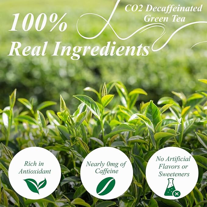WT WEETEE Decaf Green Tea Bags, 100 Count CO2-Decaffeinated Green Tea, Drink All Day | Super Antioxidant | Resealable Kraft Bag