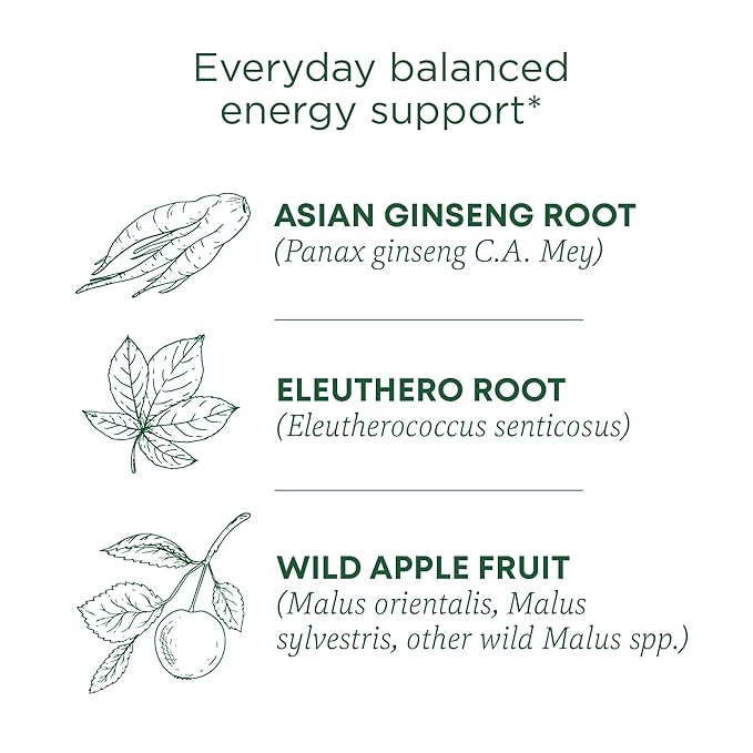 Traditional Medicinals Tea, Organic Stress Ease Focus, with Adaptogens, Everyday Balanced Energy, Ginseng Wild Apple Mint, 96 Tea Bags