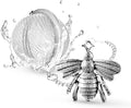 Handmade Honey Bee Tea Infuser - Strainer for Loose Leaf Tea & Spices
