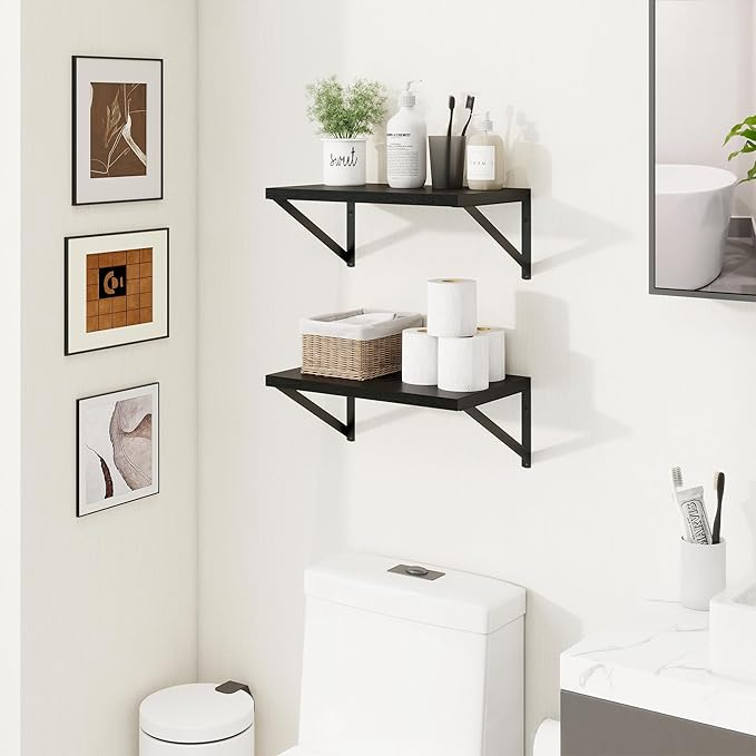 Axeman Black Floating Shelves for Wall - 10 Inch Deep Floating Shelves Set of 2-16 Inch Wide x 10 Inch Deep Black Wall Shelves for Living Room Bathroom Bedroom