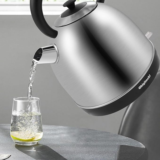1.7L Electric Kettle, Cute Water Boiler with Thermometer & Auto Shut-Off, 1200W Fast Boiling Kettle for Home Kitchen Office, BPA-Free, Boil-Dry Protection (Stainless Steel Sanding)