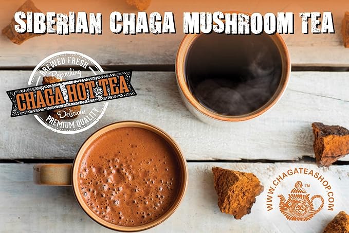 Siberian Chaga Mushroom Individual Filter Tea Bags Original 20 Filter Bags Net Wt 1.4 Oz (40g)