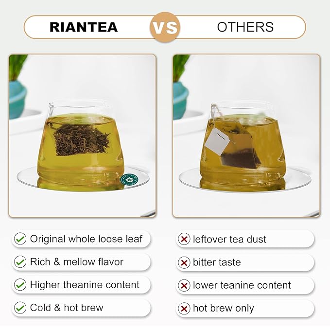 RIANTEA Organic White Tea Bag 36 Count - Cold Brew Loose Leaf Tea Bags, Biodegradable Corn Fiber Sachets, Full-Leaf, Eco-Conscious Iced Tea, Refreshing & Smooth Flavor
