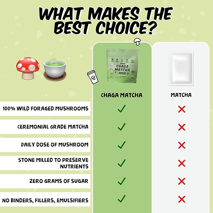 Renude Chaga Matcha - Chaga Mushroom Powder, Ceremonial Grade Matcha Superfood Drink Mix with Adaptogens, Keto, Vegan, Sugar Free, Natural Energy and Immune Support - 30 Servings