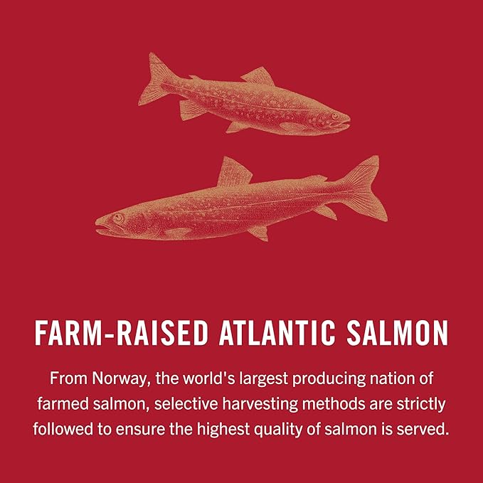 King Oscar Premium Salmon in Olive Oil, Mediterranean Style, 4.05-Ounce Cans (Pack of 12, Packaging May Vary), Skinless & Boneless Salmon